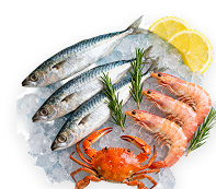 seafood